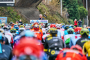 Deceuninck Quick Step już w sierpniu zobaczymy podczas 76. edycji wyścigu kolarskiego Tour de Pologne